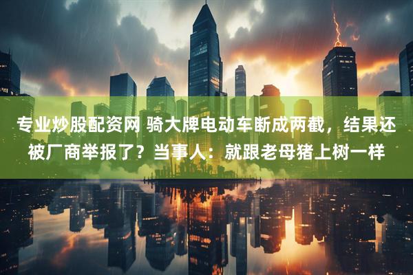 专业炒股配资网 骑大牌电动车断成两截，结果还被厂商举报了？当事人：就跟老母猪上树一样