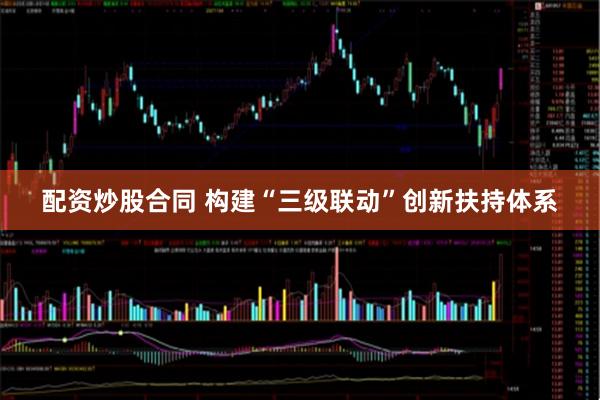 配资炒股合同 构建“三级联动”创新扶持体系