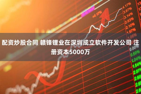 配资炒股合同 赣锋锂业在深圳成立软件开发公司 注册资本5000万