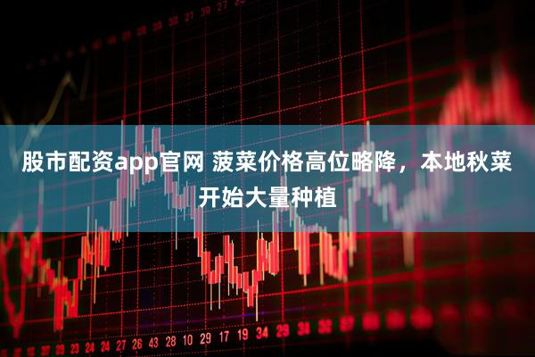 股市配资app官网 菠菜价格高位略降，本地秋菜开始大量种植